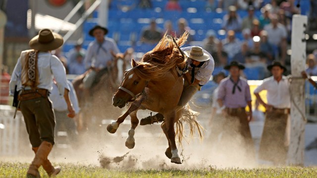Festival Creole, Rodeo, Montevideo