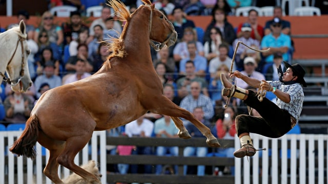 Festival Creole, Rodeo, Montevideo
