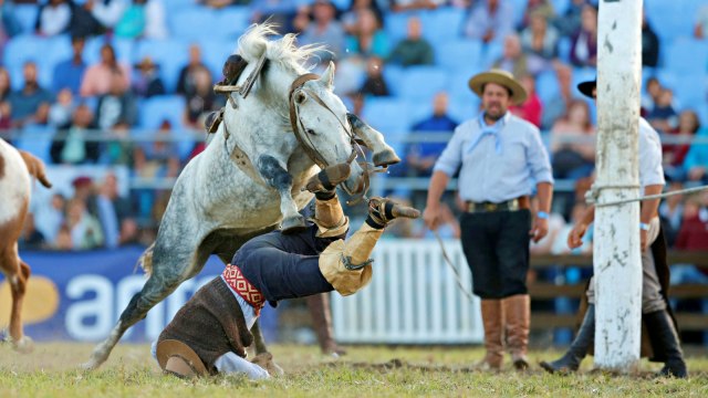 Festival Creole, Rodeo, Montevideo