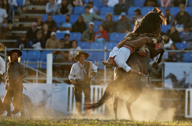 (NOT COVER) Festival Creole, Rodeo, Montevideo