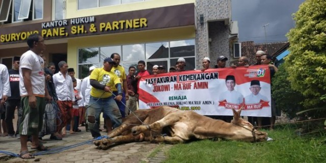 Yakin Menang, Relawan Jokowi di Pasuruan Sembelih Sapi