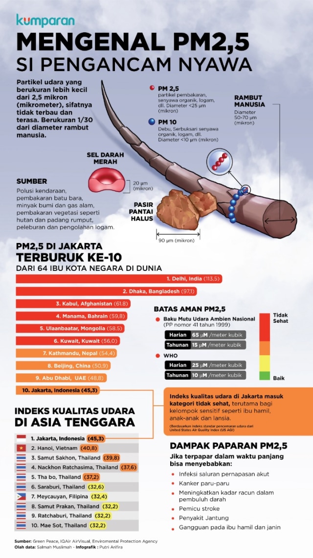 Selain Malaysia dan Singapura, Thailand juga Kena Kabut Asap Indonesia (1188591)