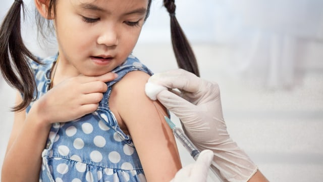 Ilustrasi vaksin dan imunisasi. Foto: Ilustrasi vaksin dan imunisasi.