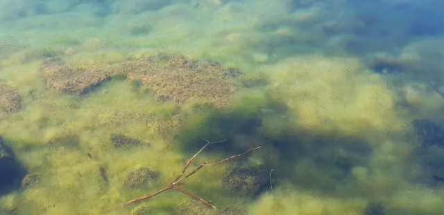 20190424_155247.jpg