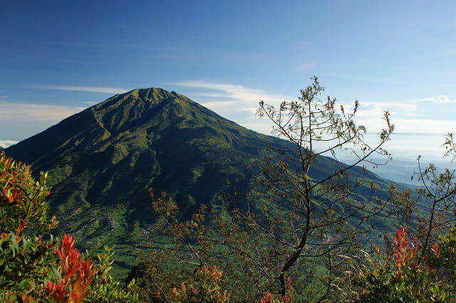 Gunung Merbabu Foto: Wikimedia Commons