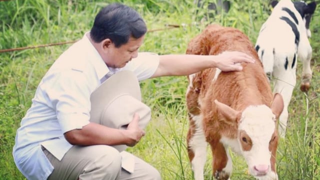 Prabowo Subianto memegang seekor sapi. Foto: Instagram/@prabowo