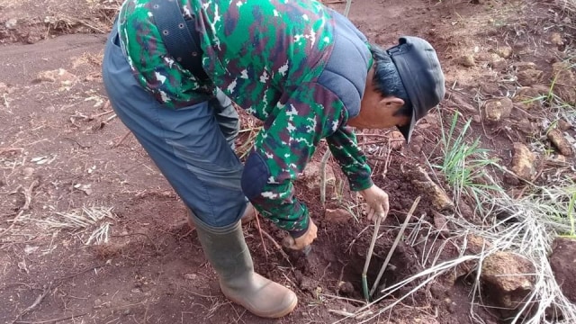 Penanaman bibit arboretum bambu di Tahura Sultan Adam, Kabupaten Banjar, Kalsel. Foto: Dishut Kalsel