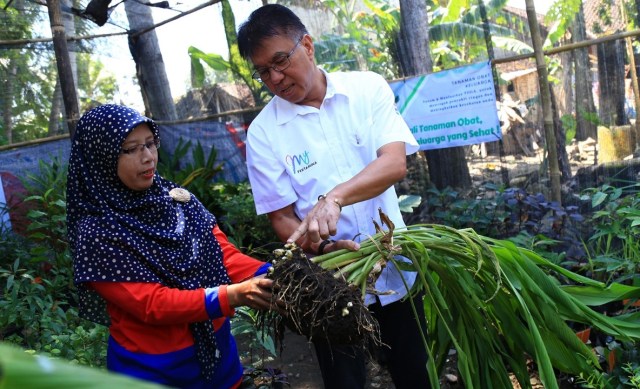 Direktur Pengolahan PT Pertamina (Persero), Budi Santoso Syarif saat memanen bahan dasar jamu. Foto: Aditia Noviansyah/kumparan