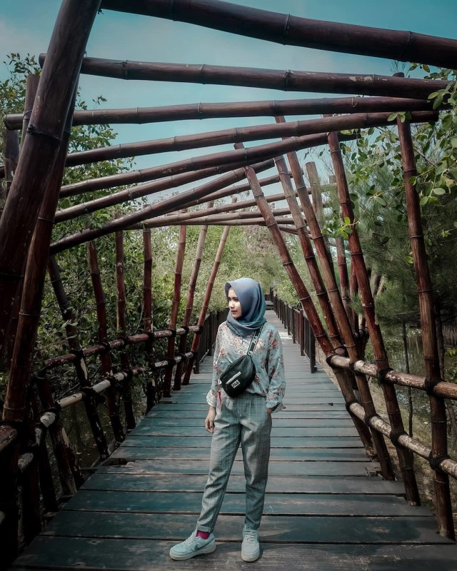 Wisata Hutan Mangrove Surabaya Tempat Wisata Indonesia