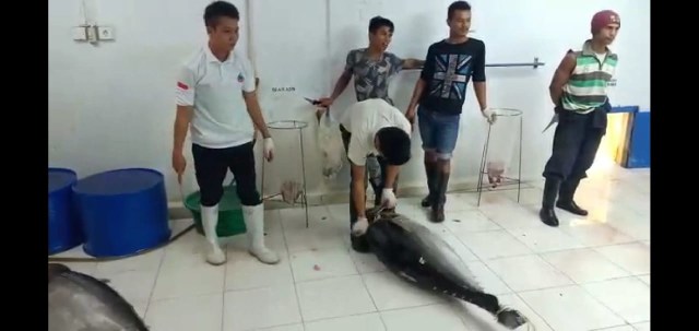 papua5.jpg