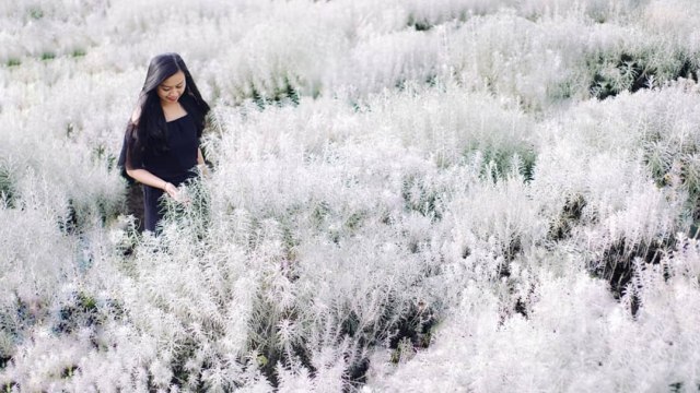 Padang Bunga Kasna Foto: Instagram/@putrianggara