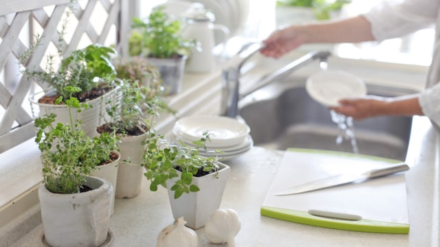 Ilustrasi gaya hidup ramah lingkungan dari kebiasaan di dapur. Foto: Shutter Stock