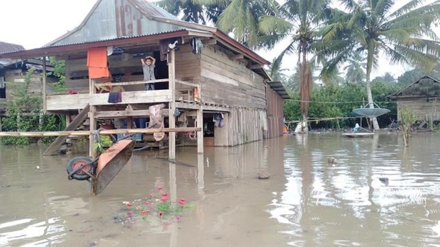 Banjir melanda permukiman warga di Desa Lemo-lemo, Kecamatan Pangale, Kabupaten Mamuju Tengah. Foto: Dok. Thinta Hitam