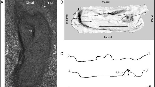 Jejak ini merupakan jejak kaki manusia tertua yang pernah ditemukan di benua Amerika. Foto: Moreno via PLOS One.