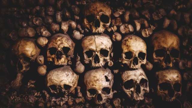 Tengkorak manusia di The Catacombs, Paris Foto: Shutter Stock