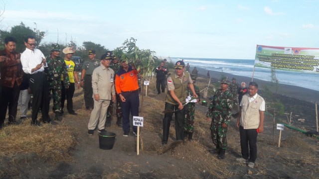 Kepala Badan Nasional Penanggulangan Bencana (BNPB), Letjen Doni Munardo, saat melakukan penanaman ribuan pohon Cemara Udang dan Pule di sepanjang Pantai Glagah hingga Congot, Kamis (2/5/2019).