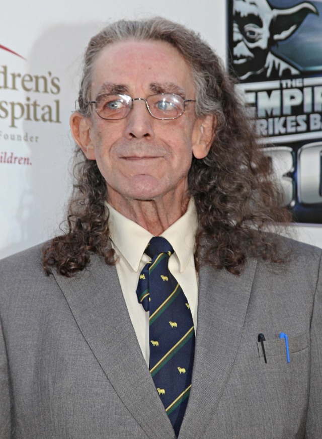Kenangan Harrison Ford tentang Mendiang Peter Mayhew 'Chewbacca' (291425)