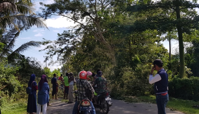 Duga Ada Kecurangan Pileg, Warga Dompu Protes Memblokir Jalan (896087)