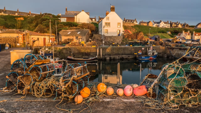 New Asgard di St. Abbs