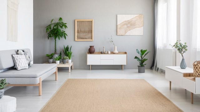 Interior Scandinavian