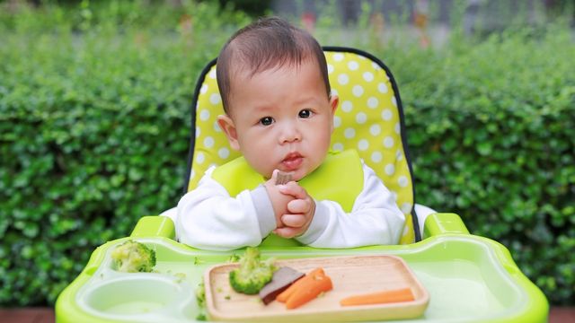 Ilustras finger food untuk MPASI bayi. Foto: Shutterstock