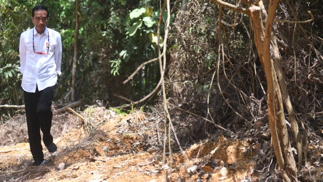Presiden Joko Widodo berjalan di kawasan hutan saat meninjau salah satu lokasi calon ibu kota negara di Gunung Mas, Kalimantan Tengah, Rabu (8/5). Foto: ANTARA FOTO/Akbar Nugroho Gumay