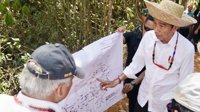 Presiden Jokowi saat meninjau salah satu lokasi calon ibu kota negara di Gunung Mas. Foto: Dok. Biro Sekretariat Pers Presiden