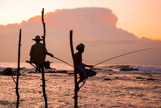 Stilt Fishing di Sri Lanka Foto: Shutter Stock