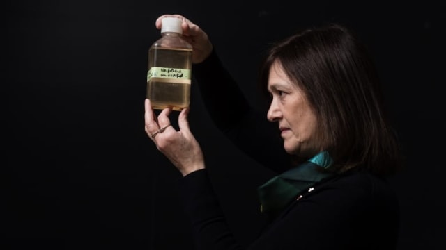 Barbara Sherwood Lollar is the recipient of the 2019 Gerhard Herzberg Canada Gold Medal for Science and Engineering for her work on ancient Earth water. (Martin Lipman/NSERC)
