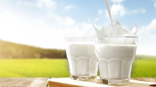 Minum Susu Teratur Saat Sahur Bisa Bantu Jaga Imunitas Selama Puasa (70505)