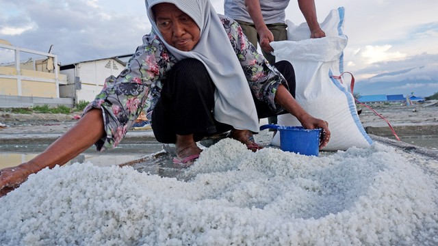 Petani memanen garam di Kawasan Penggaraman Talise. Foto: ANTARA FOTO/Mohamad Hamzah