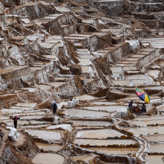 Sejumlah pekerja membawa garam hasil panennya di kolam garam Maras, di Cusco, Peru. Foto: AFP/Pablo PORCIUNCULA BRUNE