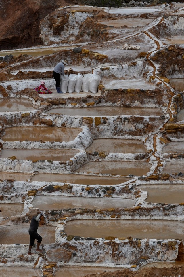 Terasering garam, Salinas de Maras, Peru (NOT COVER)