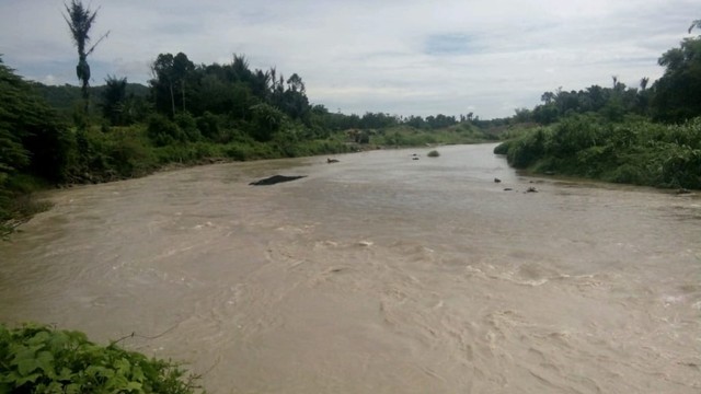 Antang Gunung Meratus Lolos dari Jerat Pencemaran Sungai 