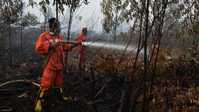 Dua petugas Manggala Agni memadamkan api di atas lahan gambut di Riau. 