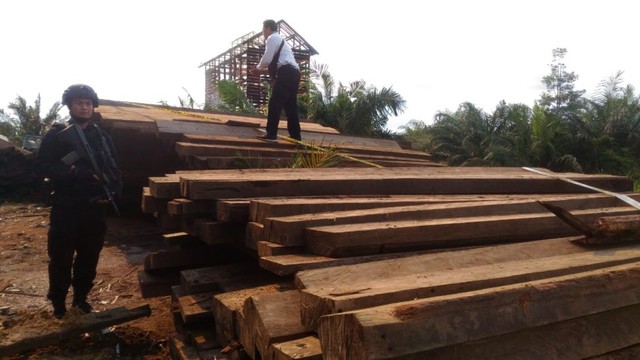 Polisi mengamankan kayu ilegal. Foto: tribratanews.poldajambi