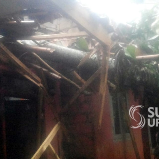 Kondisi rumah rusak tertimpa pohon di Kampung Krenceng RT 001/004 Desa Pondokkaso Tengah, Kecamatan Cidahu, Kabupaten Sukabumi. | Sumber Foto:Rawin Soedaryanto