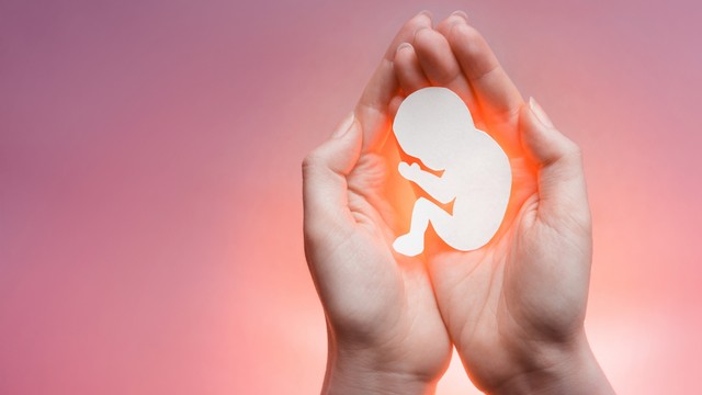 Ilustrasi aborsi. Foto: Shutter Stock