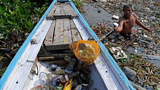 Samiran mengambil sampah plastik di muara mangrove untuk dijual ke Bank Sampah Bintang Mangrove. Foto: Antara/Zabur Karuru