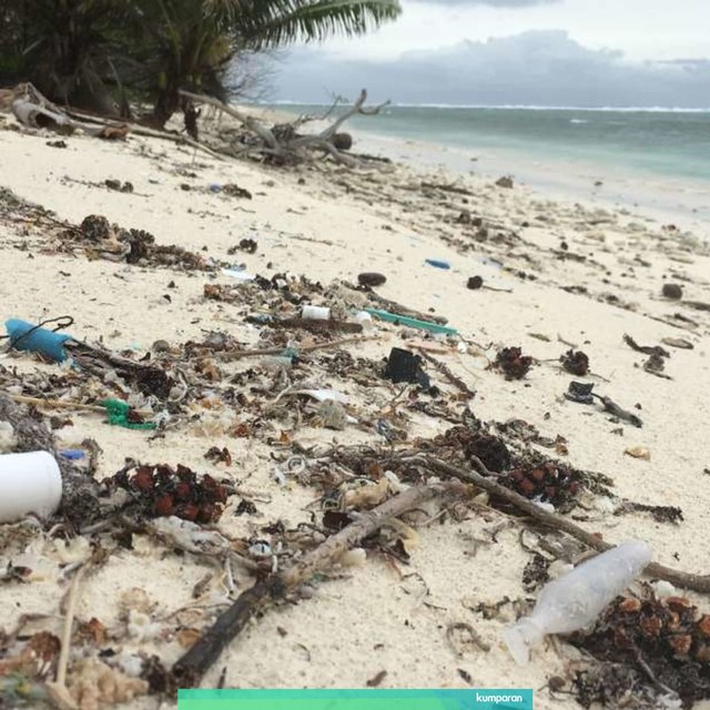 Ilustrasi sampah plastik di pantai. Foto: Jennifer Lavers