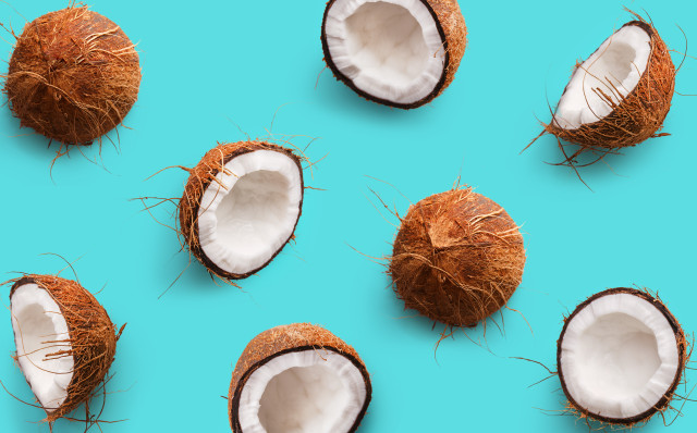 Ilustrasi kelapa. Foto: Foto: Shutter Stock