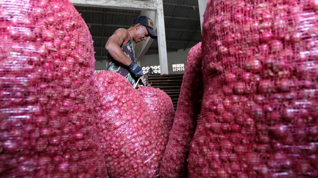 Ilustrasi, Bawang Merah