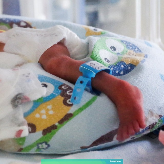 Salah satu dari bayi kembar enam di Polandia.
