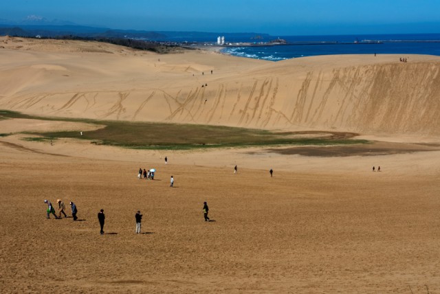 Bukit Pasir Tottori di Jepang Foto: Shutter Stock