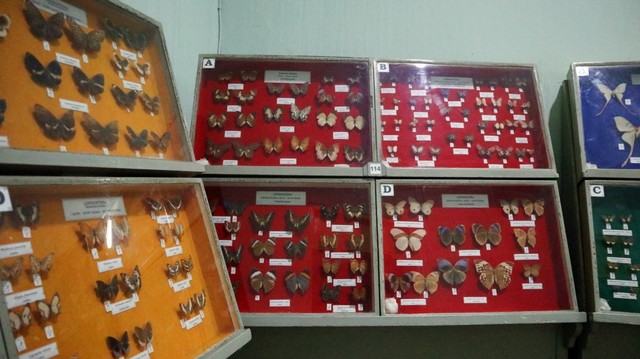 Museum Zoologi di Bogor