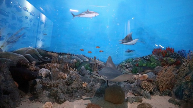 Museum Zoologi di Bogor
