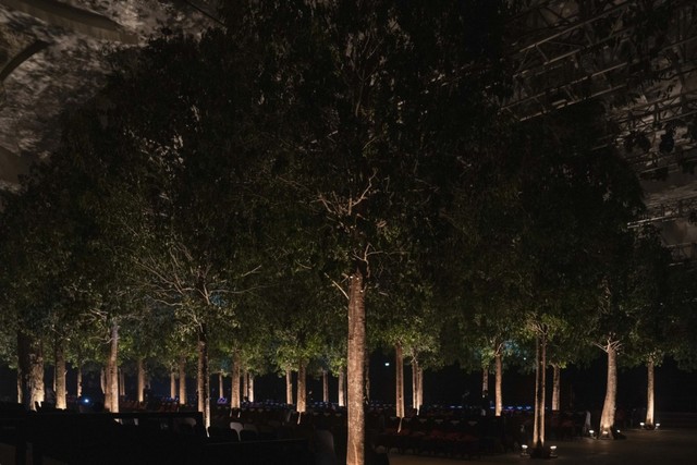 Biyan Spring Summer 2020 The Wonder Garden