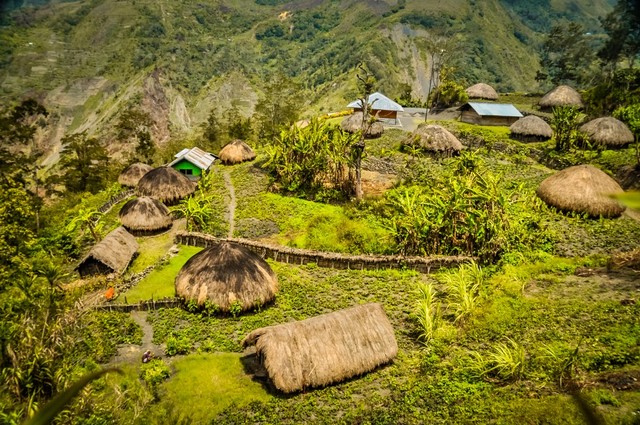 Rumah adat Suku Dani di Lembah Baliem Foto: Shutter Stock
