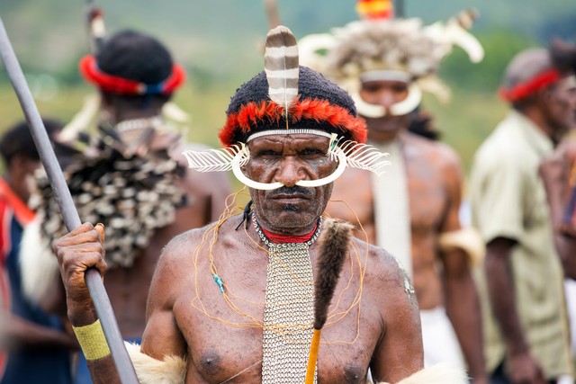 Suku Dani di Papua Foto: Shutter Stock