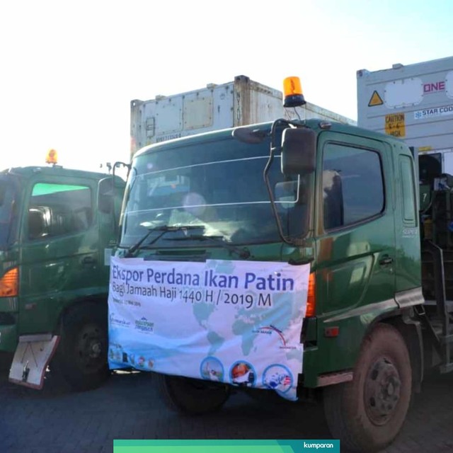 KKP Ekspor Ikan Patin ke Arab Saudi. Foto: Dok. KKP